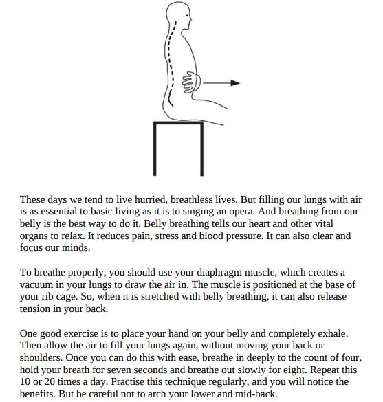 The Posture Pain Fix by Rosalind Ferry PDF