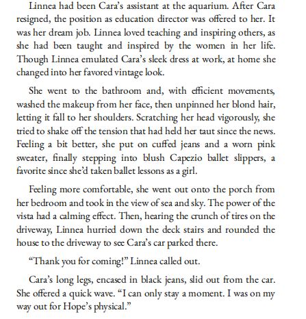 The Summer of Lost and Found by Mary Alice Monroe PDF