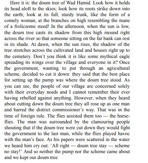 The Wedding of Zein by Tayeb Salih PDF