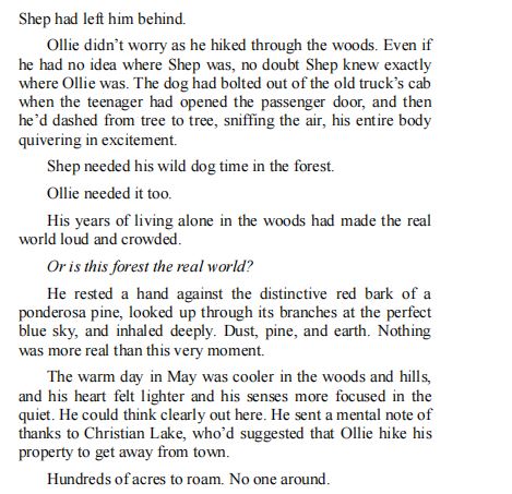 A Merciful Fate by Kendra Elliot PDF