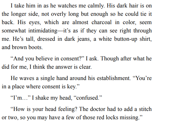 A Villain’s Kiss by T.L. Smith EPUB