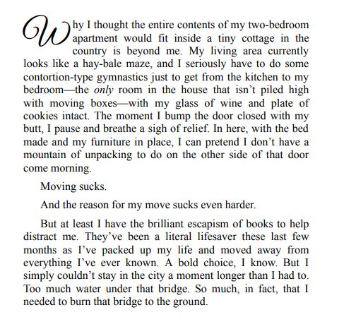 Bean Flicker by Megan Wade PDF