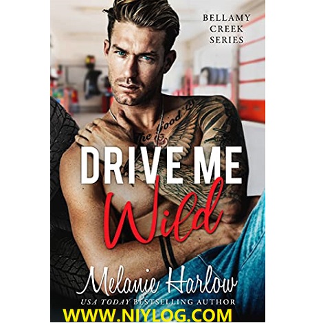 Driven by K. Bromberg -WWW.NIYLOG.COM