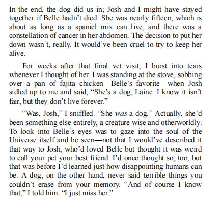 Everything Must Go by Camille Pagán PDF