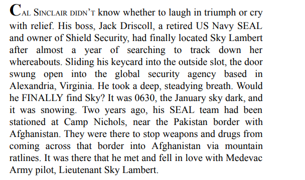 LAST STAND BY LINDSAY MCKENNA PDF