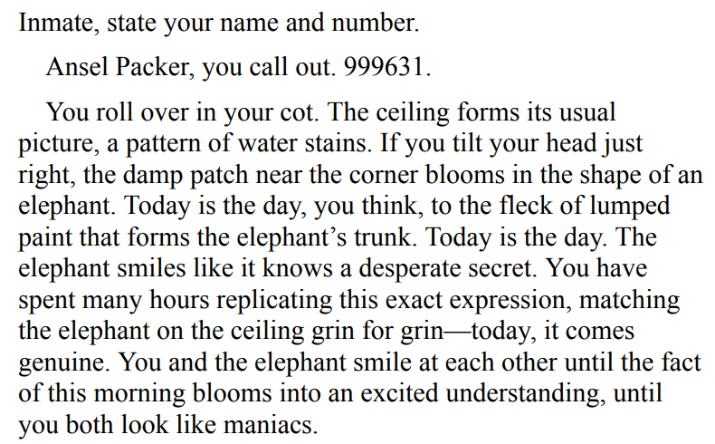 Notes on an Execution by Danya Kukafka 