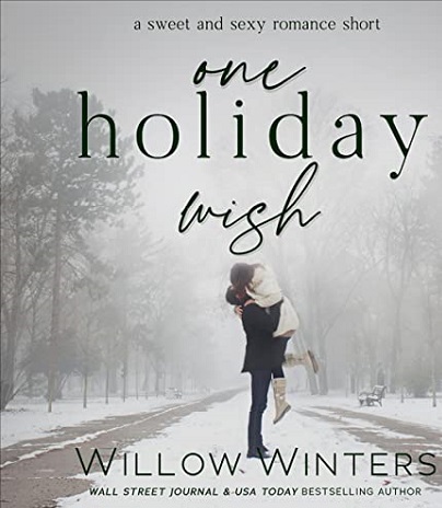 ONE HOLIDAY WISH BY WILLOW WINTERS