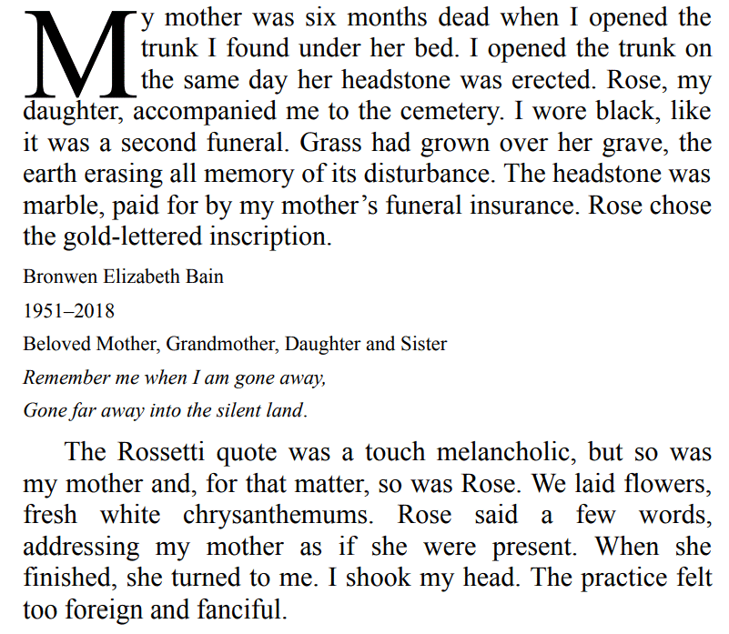 Sankofa by Chibundu Onuzo