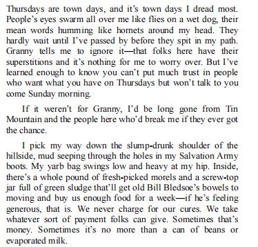 THE WITCH OF TIN MOUNTAIN BY PAULETTE KENNEDY PDF