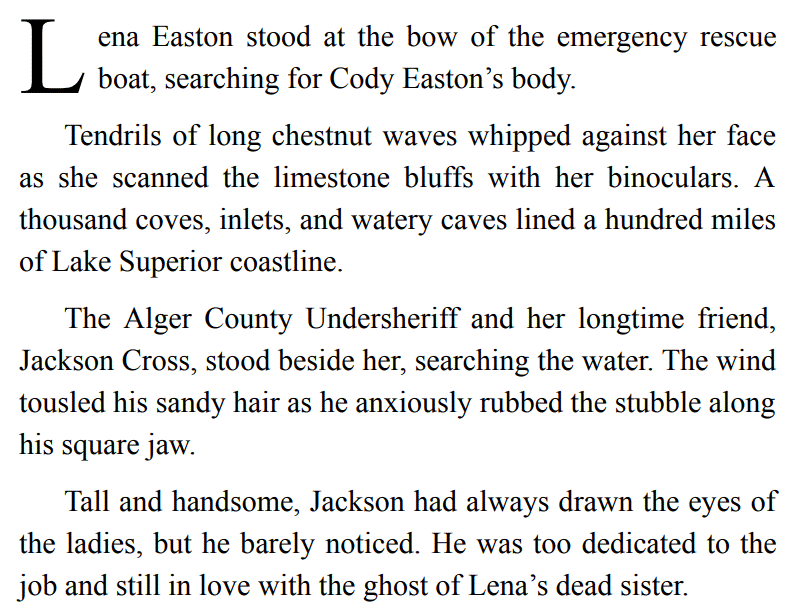 The Dark We Seek by Kyla Stone