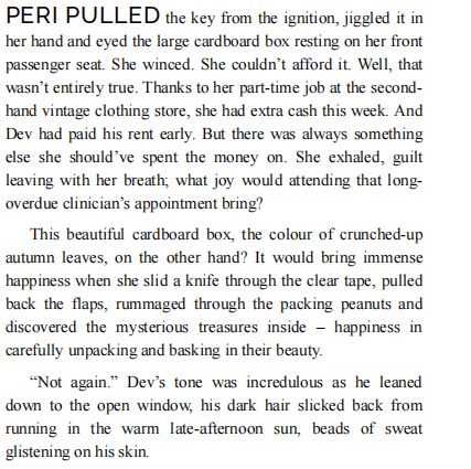 The Long Way Home by Megan Mayfair PDF