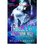 Trouble at Brayshaw High by Meagan Brandy