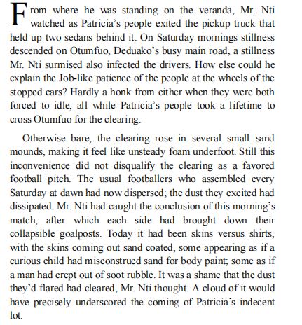 What Napoleon Could Not Do by DK Nnuro PDF