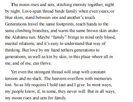 Moonrise Over New Jessup by Jamila Minnicks