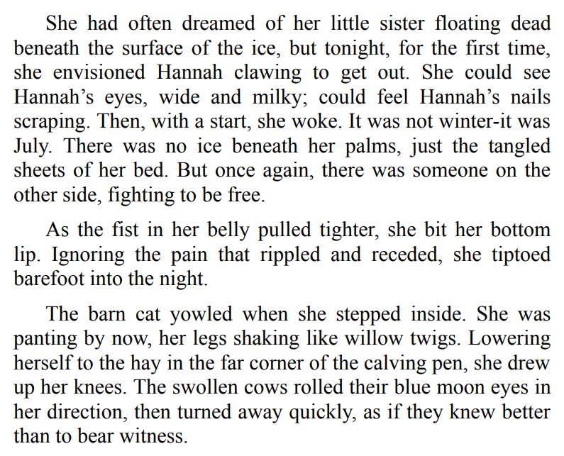 Plain Truth by Jodi Picoult 