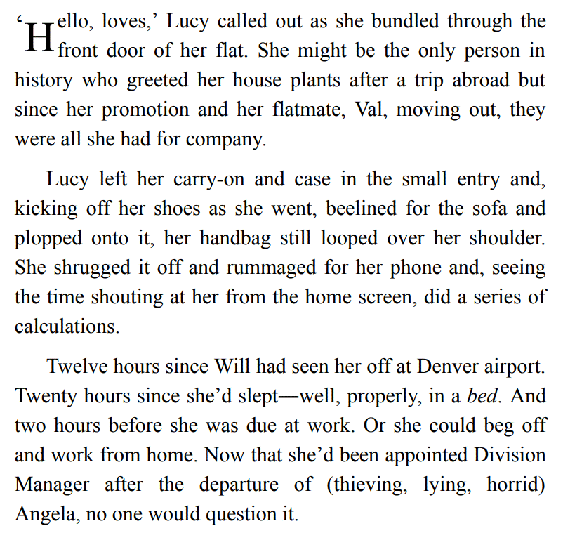 The Christmas Trip by Sandy Barker 