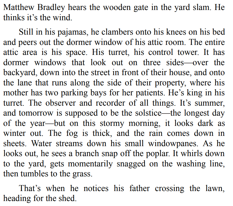  The Patient's Secret by Loreth Anne White