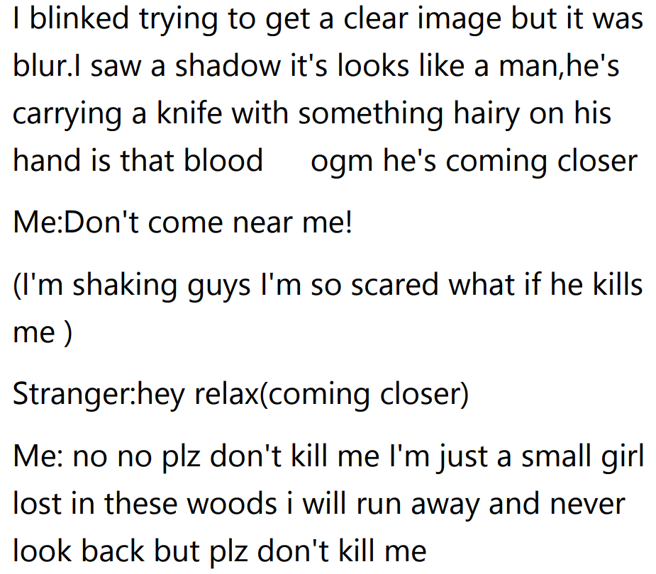 The President’s maid 