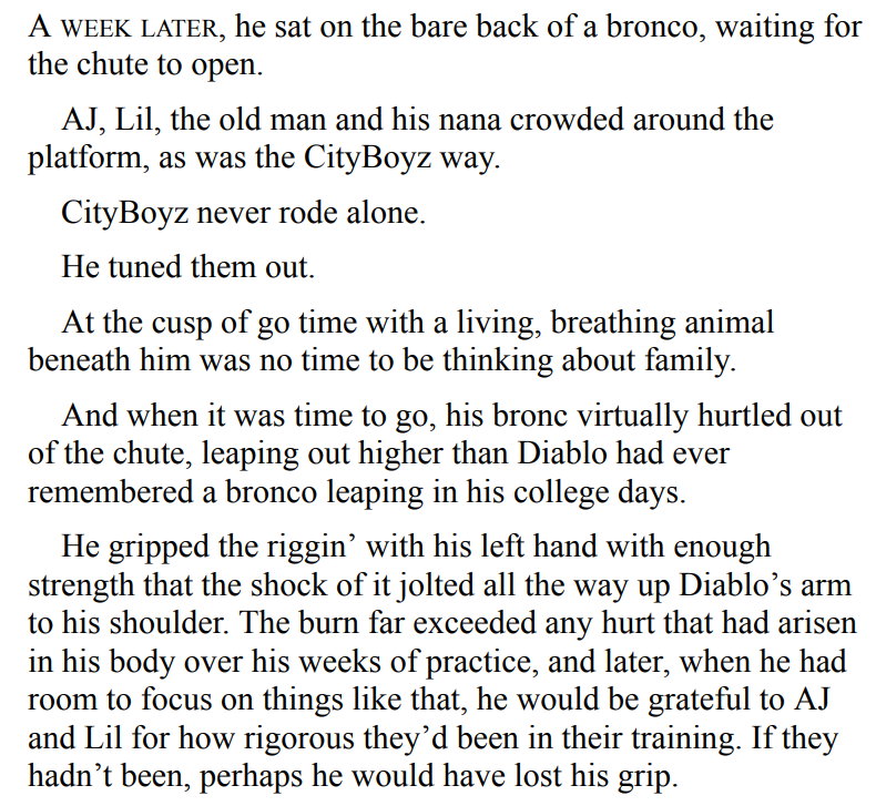 The Rodeo Queen by Marcella Bell