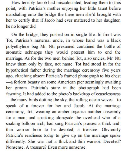 What Napoleon Could Not Do by DK Nnuro PDF