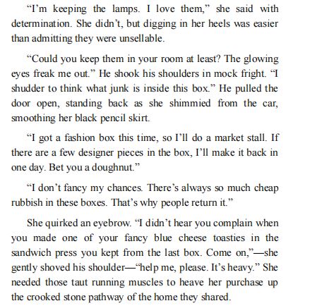 The Long Way Home by Megan Mayfair PDF