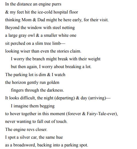 We Are All So Good at Smiling by Amber McBride PDF