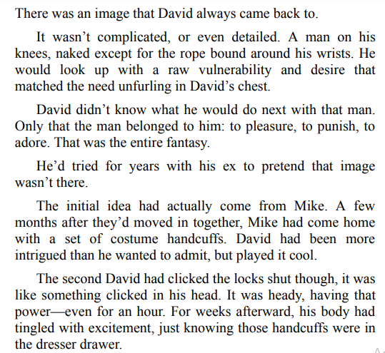 A Daddy for Kinkmas by Reese Morrison PDF