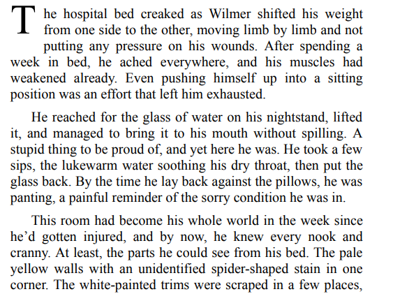 Dragon’s Fight by Nora Phoenix Pdf