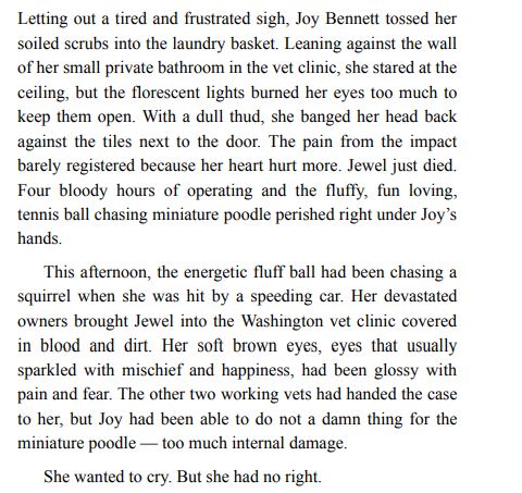 Her Maine Mountain Man by Karen Nappa PDF