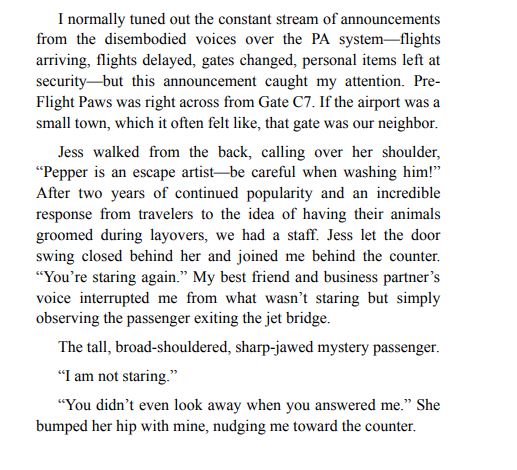 Love and Other Flight Delays by Denise Williams PDF