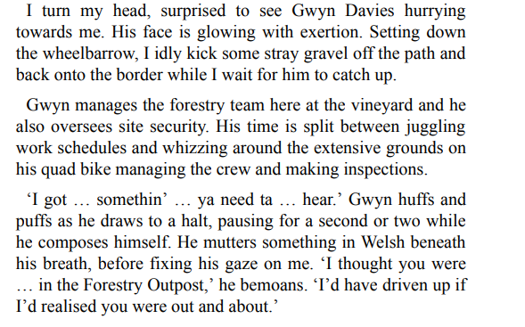 SUMMER AT GREEN VALLEY VINEYARD BY LUCY COLEMAN PDF