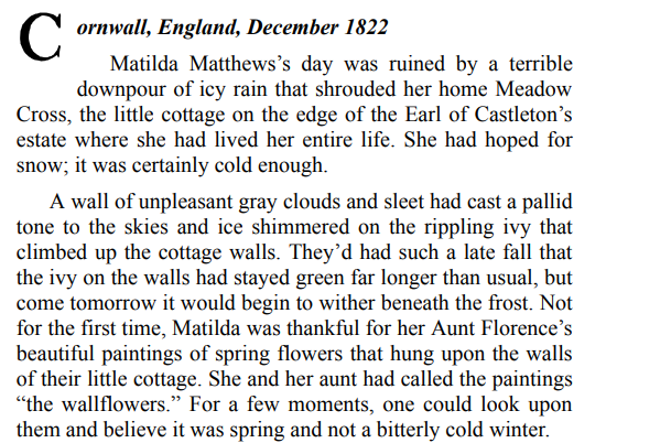 Snowflakes and Wallflowers by Lauren Smith PDF