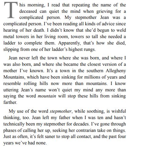 Take What You Need by Idra Novey PDF