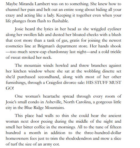 The Beautiful Misfits by Susan Reinhardt PDF