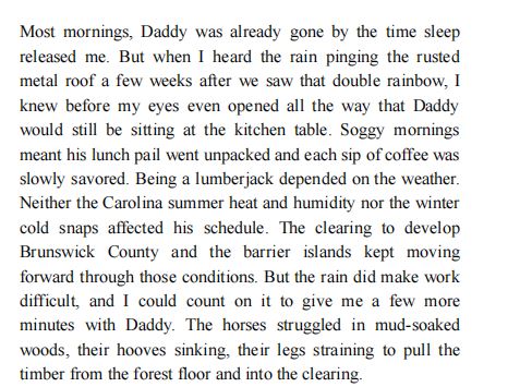 The Last Carolina Girl by Meagan Church PDF