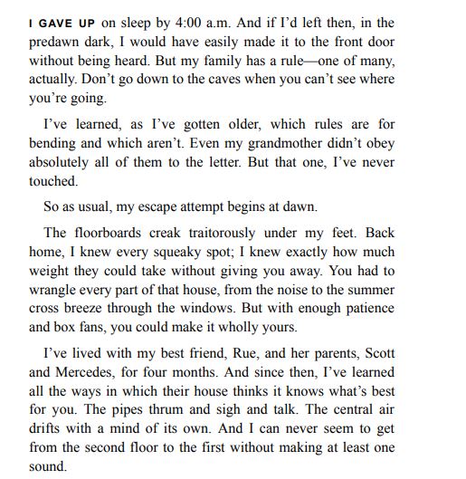 The Memory Eater by Rebecca Mahoney PDf