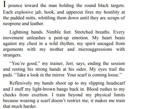 The Next New Syrian Girl by Ream Shukairy PDF