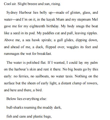 The Quiet and the Loud by Helena Fox PDF