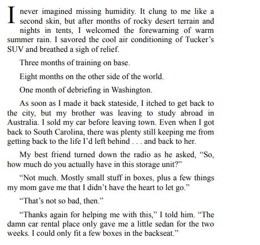 The Wedding Witness by Sofia T Summers PDF