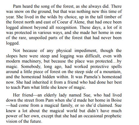 Wildwood in Winter by Bianca D’Arc PDF