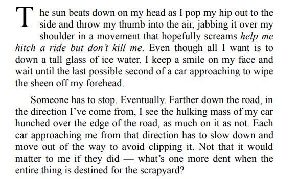 You Can’t Hide by Emily Shiner PDF