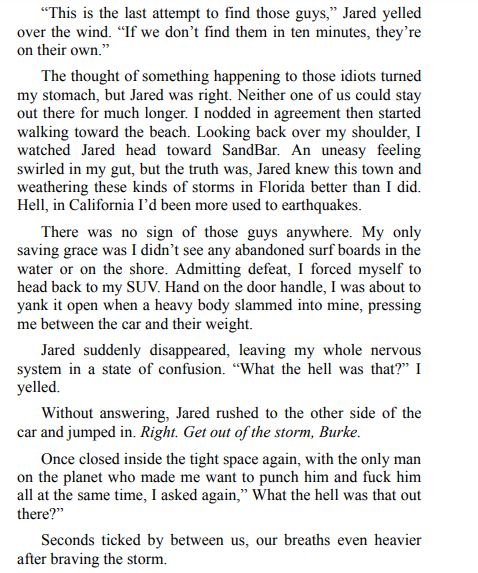 Baiting Burke by Jaclyn Quinn PDF