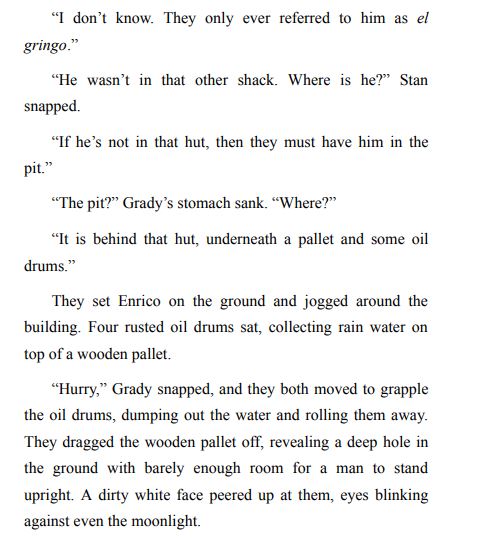 High-Value Target by Nicole James PDF