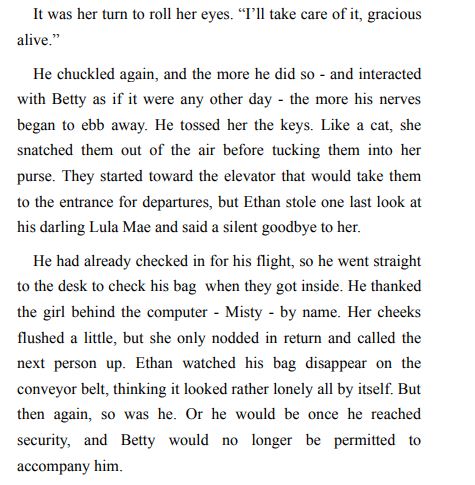 We’ll Meet Again by Kelsey Painter PDF