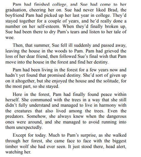 Wildwood in Winter by Bianca D’Arc PDF