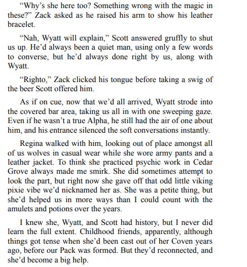 Wolf Called Casey by J.E. Cluney PDF