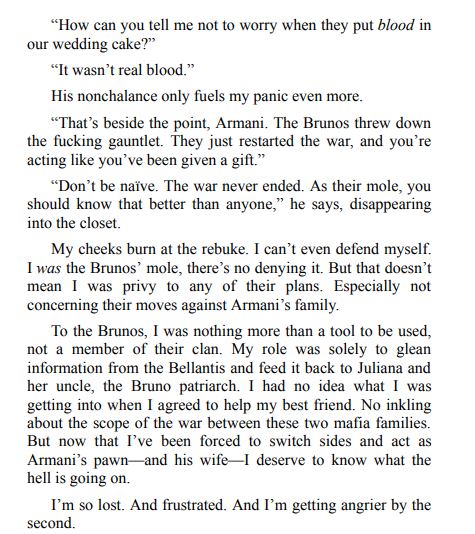 Captive Rival by Stella Gray