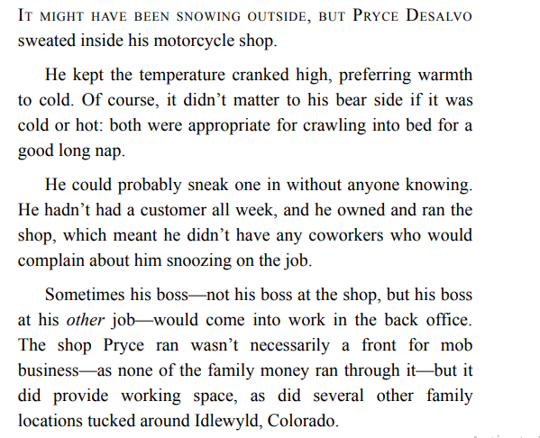 A Christmas Lynx by Renee Hewett PDF