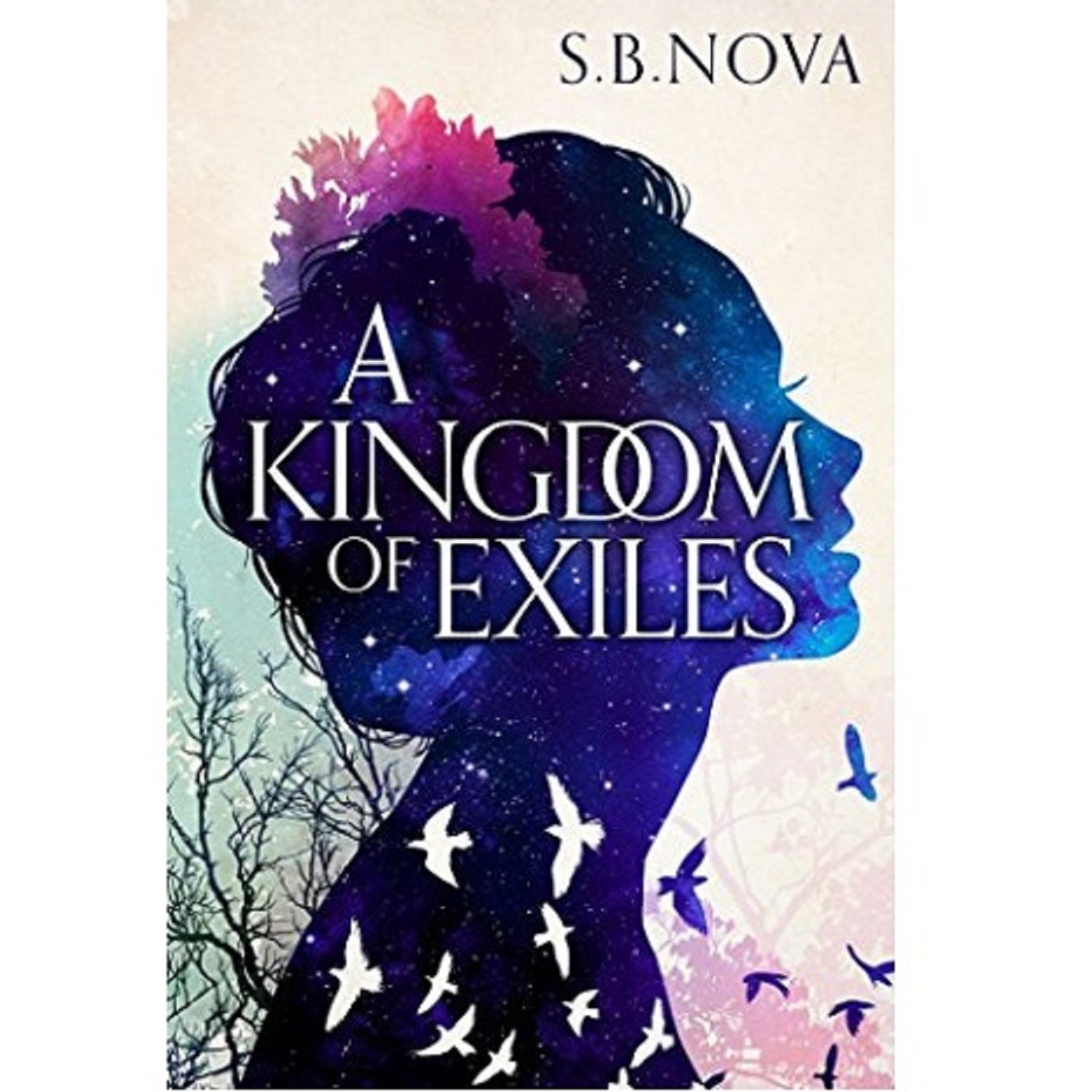 A Kingdom of Exiles by S.B. Nova