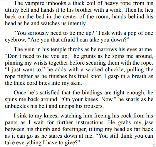 A Ryan Recon by Sadie Kincaid PDF